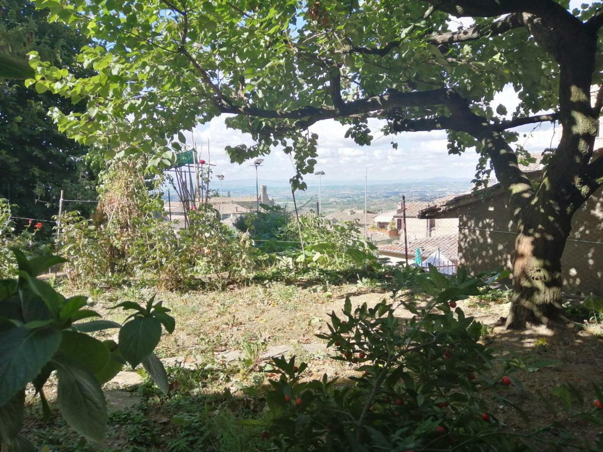 Orto Di Emma Lägenhet San Gimignano Exteriör bild